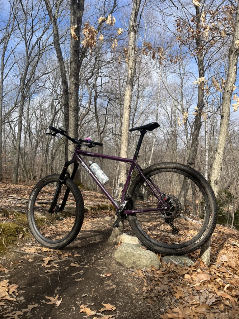 Surly Karate Monkey at Beaver Brook Reservation